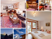 Chalet Ulysse Garden Appartment