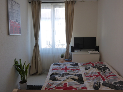 Buchen Sie günstige möbliertes Zimmer in Zürich