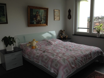 Buchen Sie günstige Zimmer in Zürich